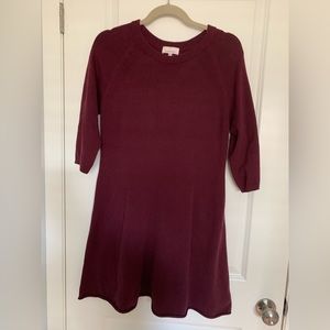 Aritzia- Sunday Best Tunic Sweater